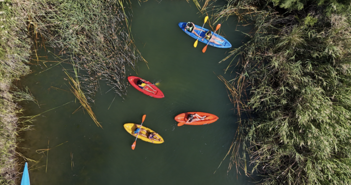 DEL DESIERTO AL VINO: LA RUTA DEL COLORADO QUE QUIERE DEJAR DE SER “ZONA DE PASO”